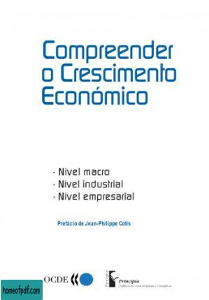 Understanding Economic Growth : A Macro-Level, Industry-Level, and Firm-Level Perspective (Portuguese Edition): Compreender o Crescimento EconóMico..jpg